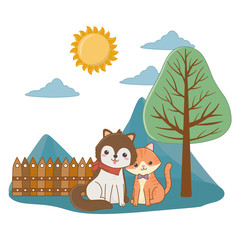 Cat and dog cartoon design vector illustrator