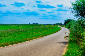 Meadow and cycling path through floodplain Liendense Waard in Batenburg, The Netherlands
