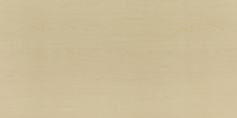 Wood texture background. Wooden panel with natural pattern for design and decoration