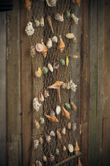 Seashells on a grid on a wood background
