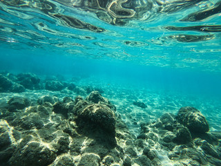 Underwater view of rocks and stones at the bottom of the sea.