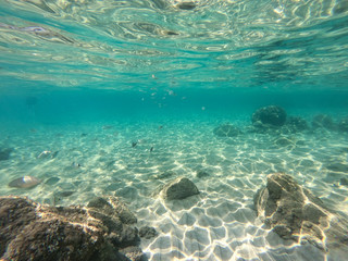 Underwater view of rocks and stones at the bottom of the sea.
