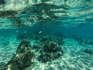 Underwater view of sea bottom with sand, rocks and stones..