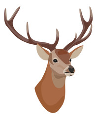 Deer head isolated on white background. Vector illustration.