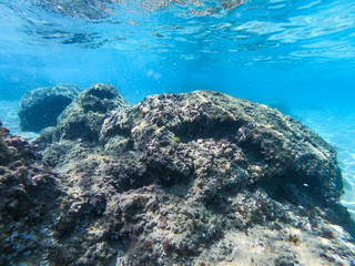 Obraz premium Underwater view of sea bottom with sand, rocks and stones..