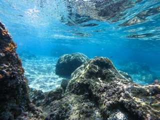 Naklejka na ściany i meble Underwater view of sea bottom with sand, rocks and stones..
