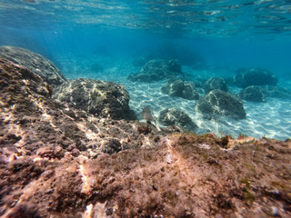Underwater sea view with sand and rocks.