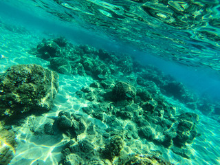 Fototapeta na wymiar Underwater view of sea bottom with sand, rocks and stones..
