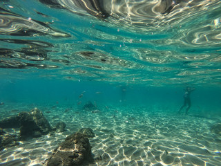 Fototapeta na wymiar Diving in the sea water. Underwater walking at the bottom of the seash.