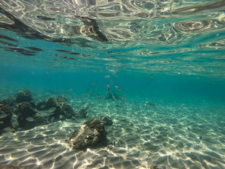 Diving in the sea water. Underwater walking at the bottom of the seash.