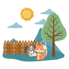 Cat and dog cartoon design vector illustrator