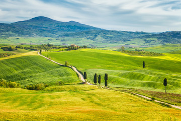 Landscape with a cypresses lined path near Pienza town in Tuscany, Italy.