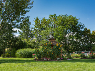 Recreation area in a park with benches and gazebo under blossoming sunflowers