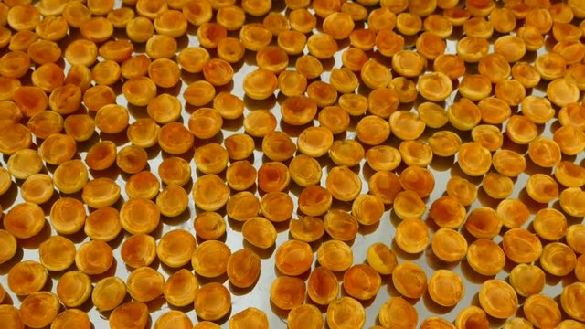 drying the ripe apricots in the sun, making dried fruits, apricot drying at home,