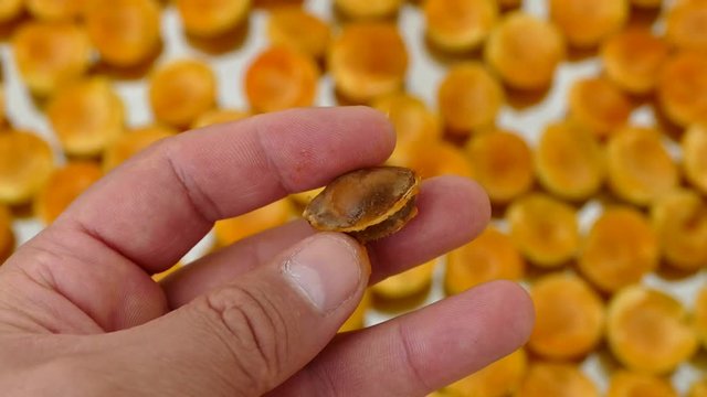 apricot kernels, medicine apricot kernels, apricot kernels for making pills and drugs,