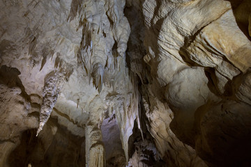 Ruakuri Caves Waitomo