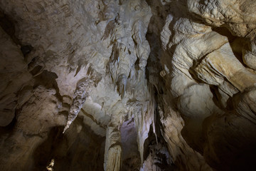 Ruakuri Caves Waitomo