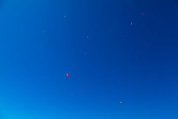 Many para-planner on clear blue sky