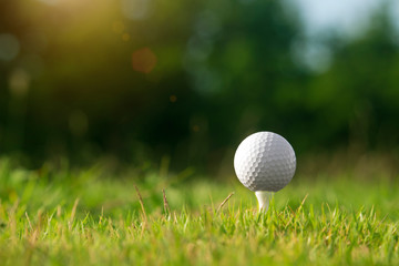 golf ball on tee in a beautiful golf course with morning sunshine