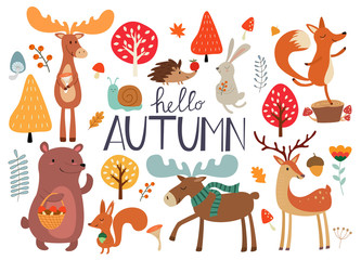 Cute hand drawn autumn forest animals and fall floral elements. Ideas for postcards and posters. Vector illustrations.