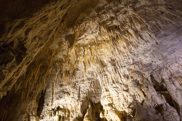 Ruakuri Caves Waitomo