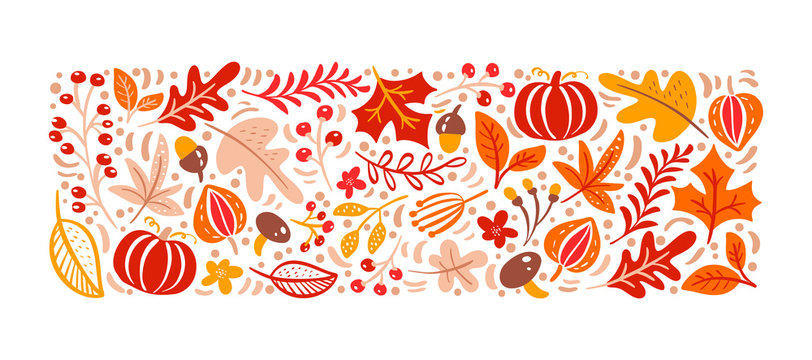 Vector autumn elements. Mushroom, acorn, maple leaves and pumpkin isolated on white background. Perfect for seasonal holidays, Thanksgiving Day