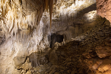 Ruakuri Caves Waitomo