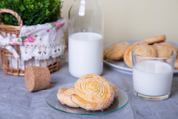 Cottage cheese homemade cookie in sugar topping with milk. Selective focus, close-up.