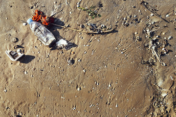 plastic bottle and garbage polluting a beach