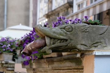 Gdansk Old Town, Poland - gargoyle. Very interesting architectonic detail on Mariacka street.  It is decorative, protruding top of the roof gutter, used to drain water beyond the reach of the wall.