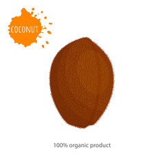 Card with a whole coconut with the inscription. Vector banner on the theme of healthy eating. Unpeeled coconut close up.