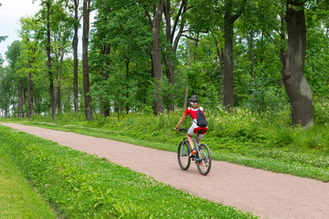 Naklejka premium sportswoman riding a bike on a path in the forest among the tall green trees in the summer, Cycling