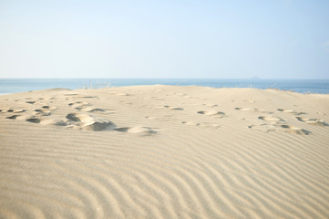 Sindu-ri Coastal Sand Hills in Taean-gun, South Korea.