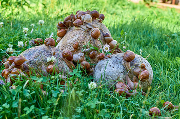 wonderful world around us