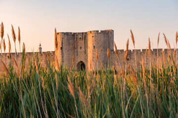 Summer sunset in Aigues Mortes in the Camargue