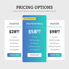 Clean vector pricing options design