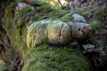 Naklejka premium Harz Wanderung durch den Wald am Luxgehege 