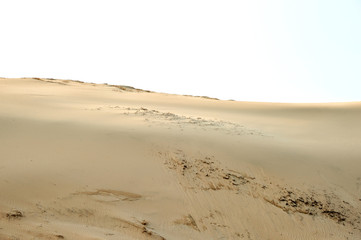 Sindu-ri Coastal Sand Hills in Taean-gun, South Korea.