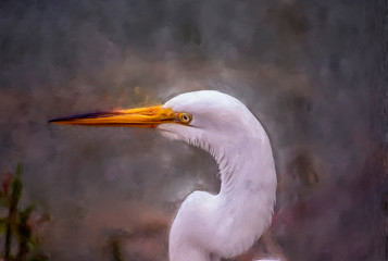 Great white egret, oil painting