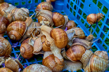 wonderful world around us