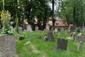 jewish old cemetery in prague