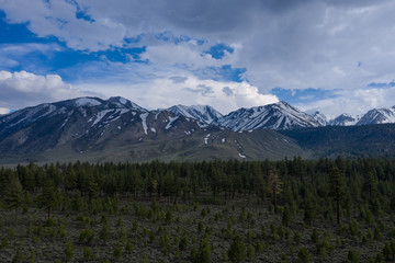 Fototapeta premium Aerial view over a forest near Mammoth Lakes in California 