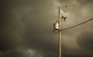 Telephone Pole