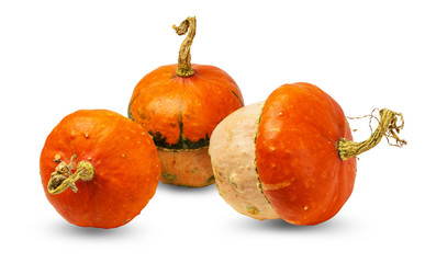 Decorate pumpkins isolated on white background with clipping path