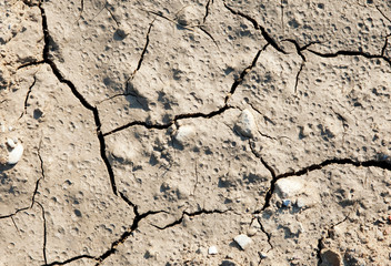 Dry cracked earth texture