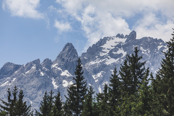 landscape view of alps mountains peak fir tree on background