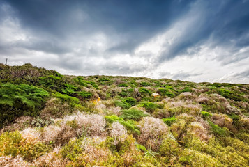 Meadow hill covered with bushes in the countryside. Dramatic storm clouds over the horizon.