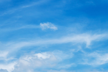 Fototapeta premium The white clouds in the sky in the afternoon.