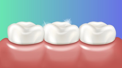 Healthy shiny teeth in pink gums. Realistic medical illustration