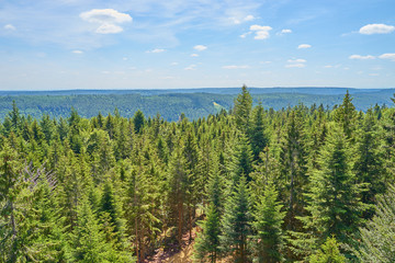 Panoramic view over Black Forest in Germany